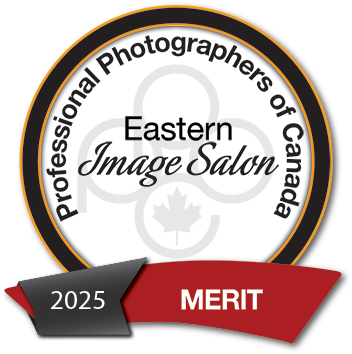1 0002 merit
